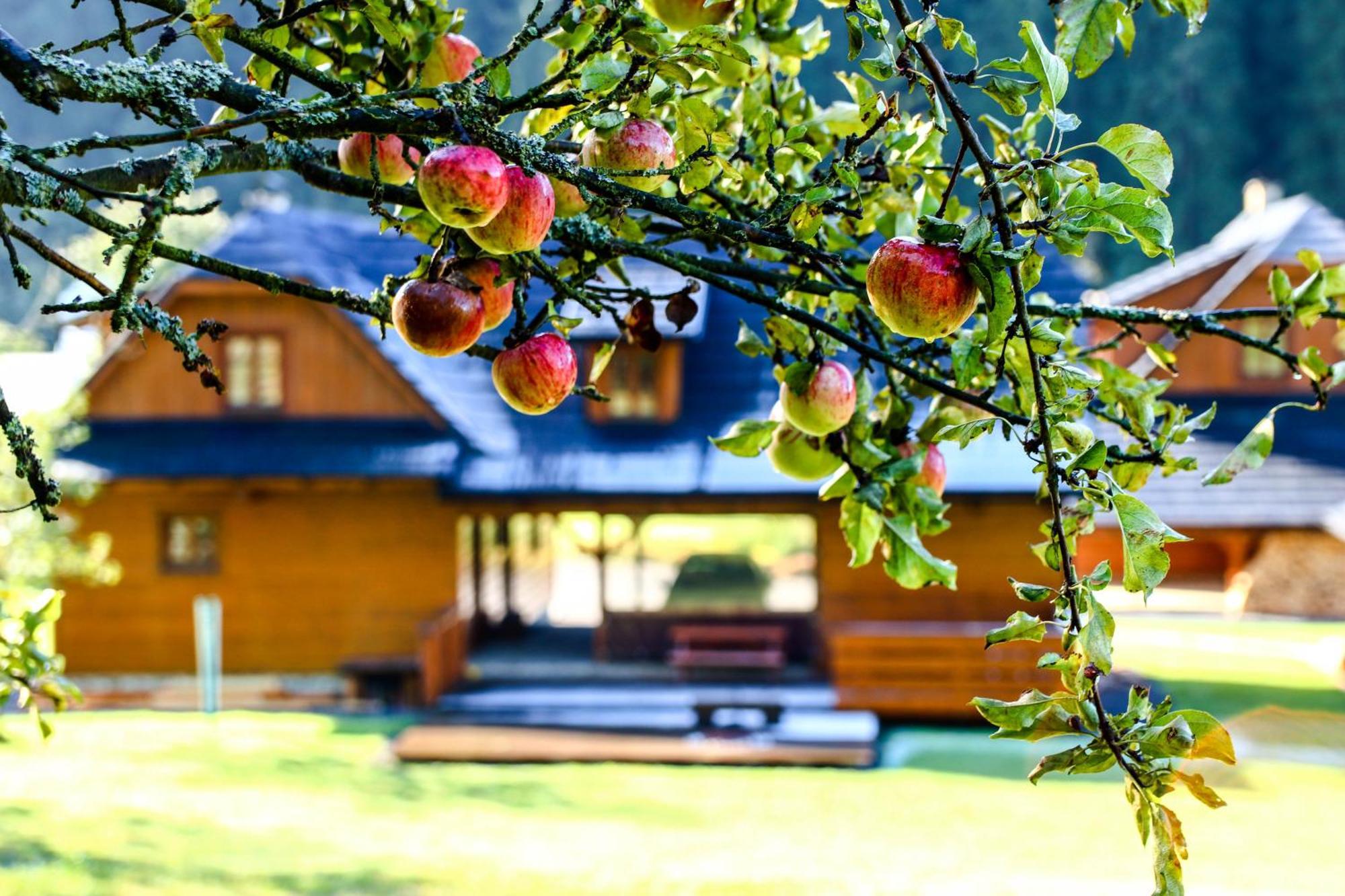 Valassky Dvur Velké Karlovice Exterior foto